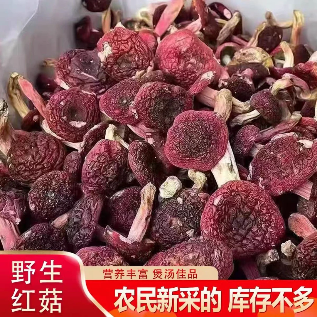 鲜得客深山野生红菇营养浓郁煲汤佳品