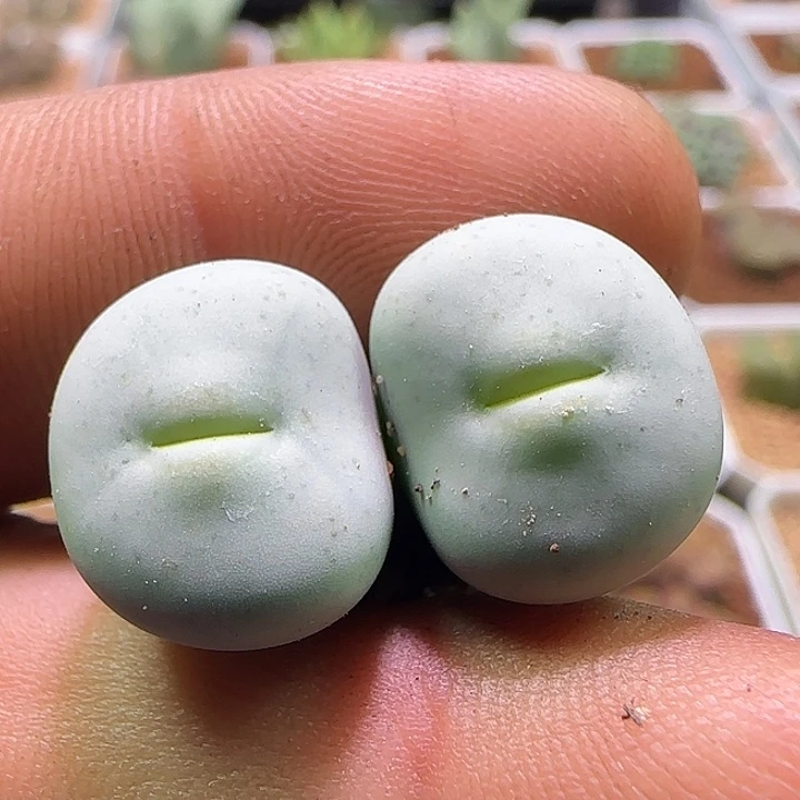 哈哈哈哈哈哈哈哈690