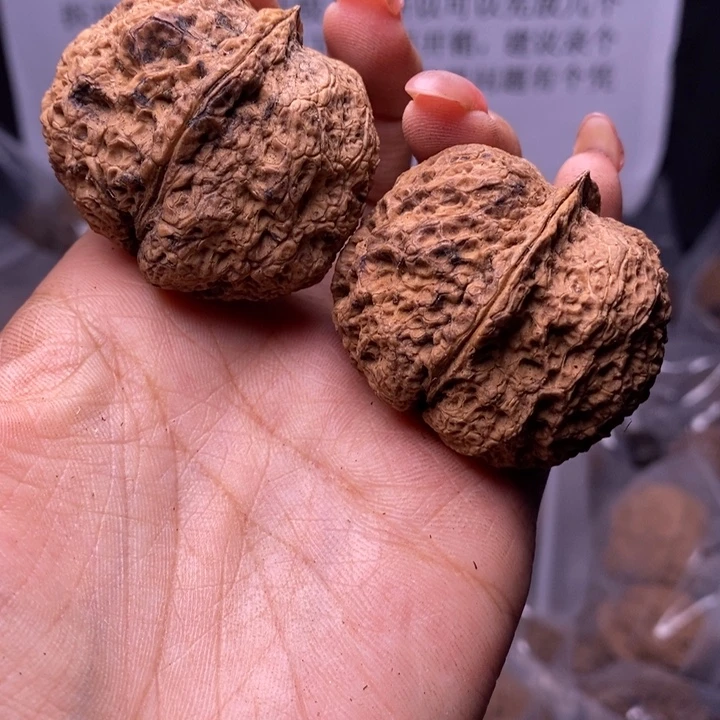 核桃云南野生铁核桃184号43mm