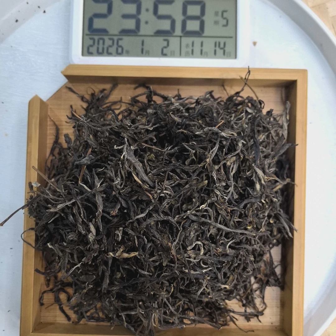 刀刃严选-3006号2024年保塘西保8号茶王地古树单株春生散茶1-2