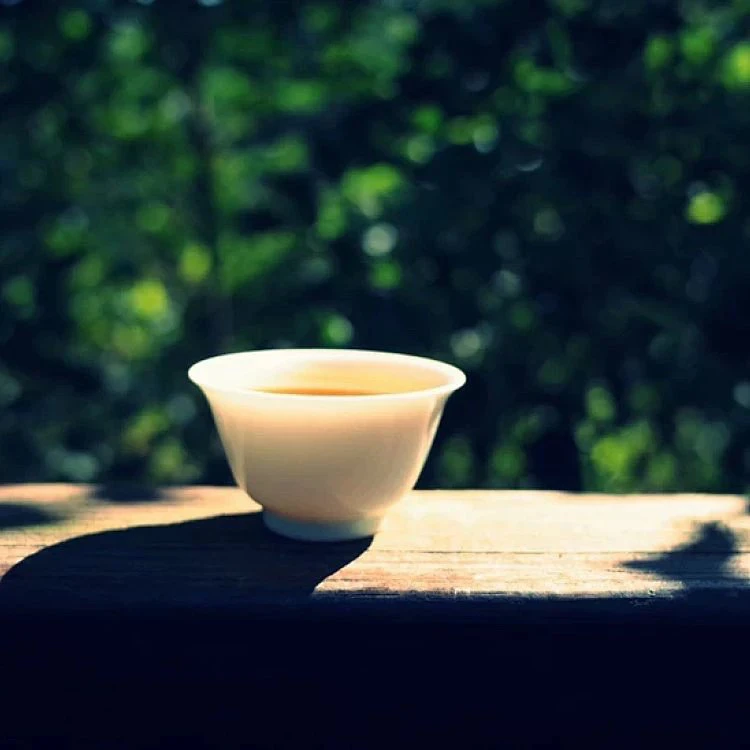 野放铁观音  75克罐装