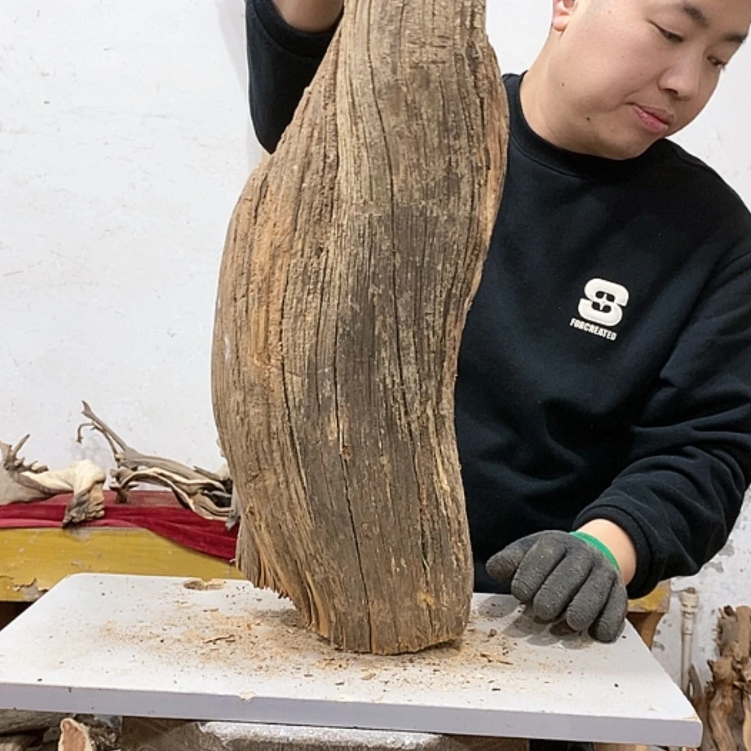 【闪购商品】柏木小*我们都是好孩子