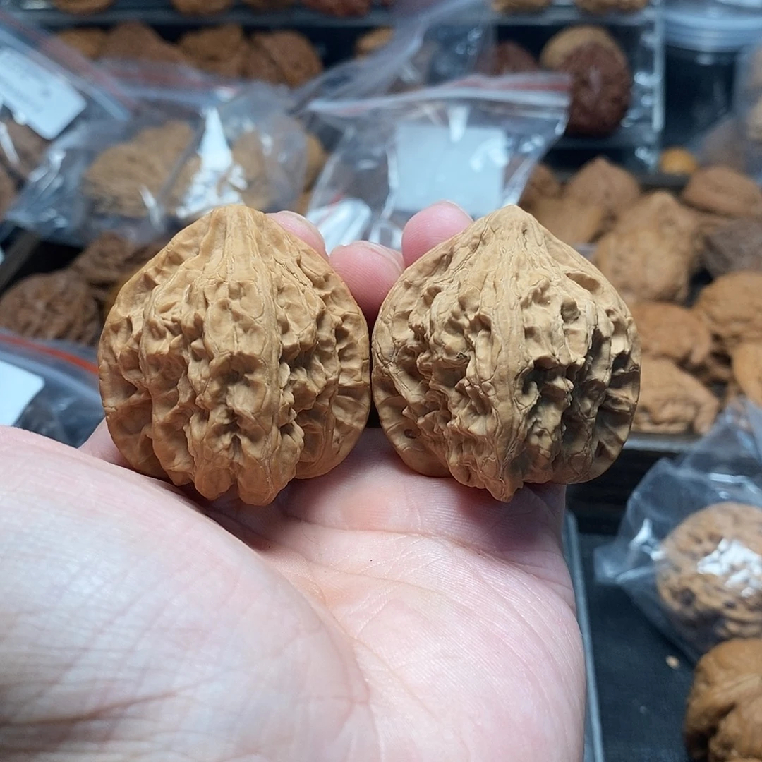 1文玩核桃火焰马蹄41-451