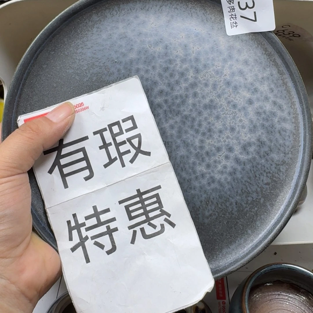 陶瓷工艺与艺术设计