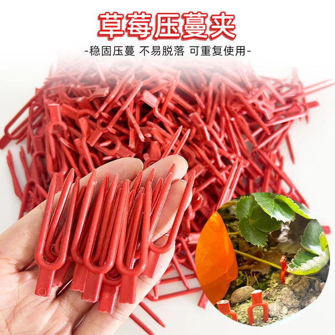 草莓叉子西瓜甜瓜固定器苗压蔓器叉子压苗压茎叉草莓西瓜苗固定器