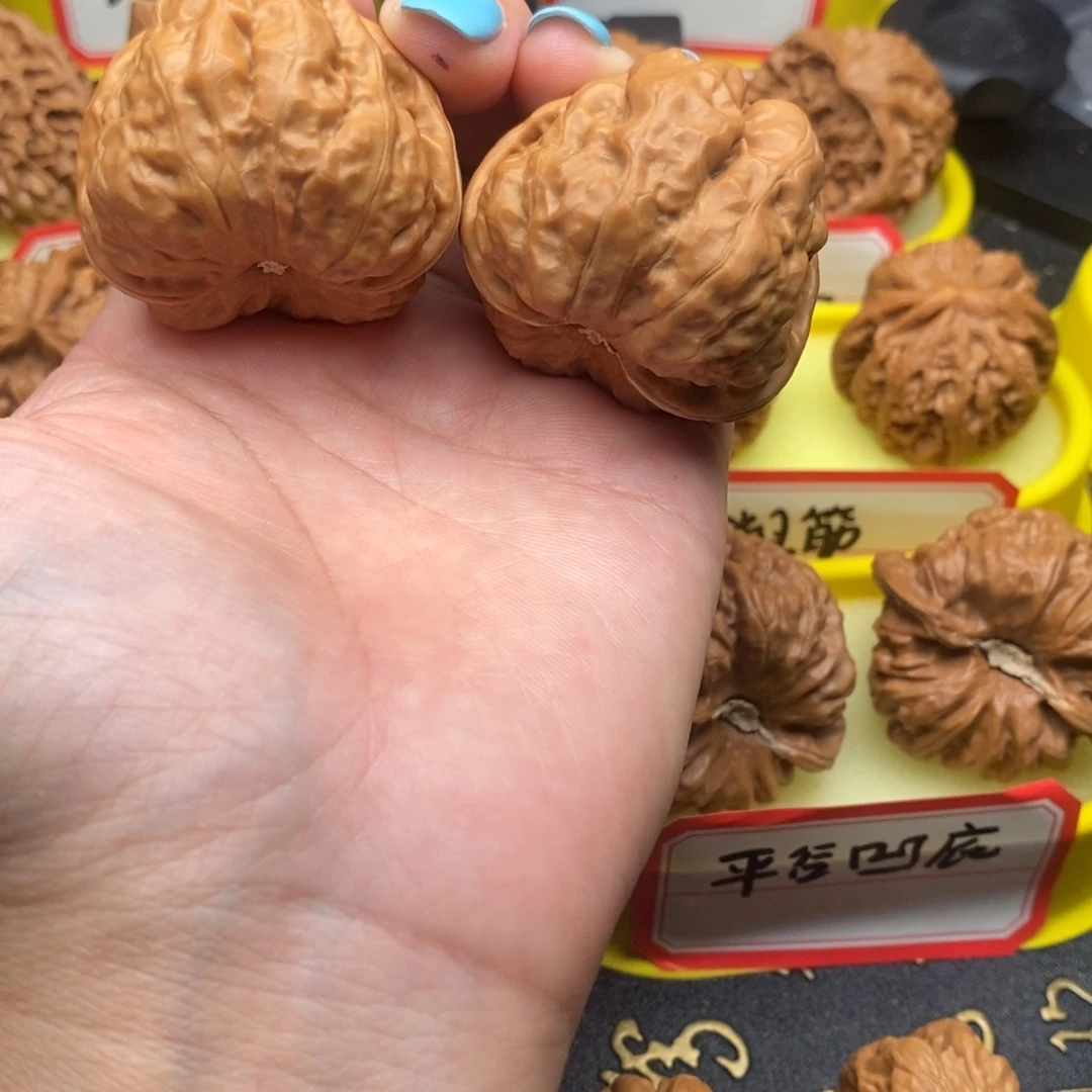 菩提籽类三角蛙蛙