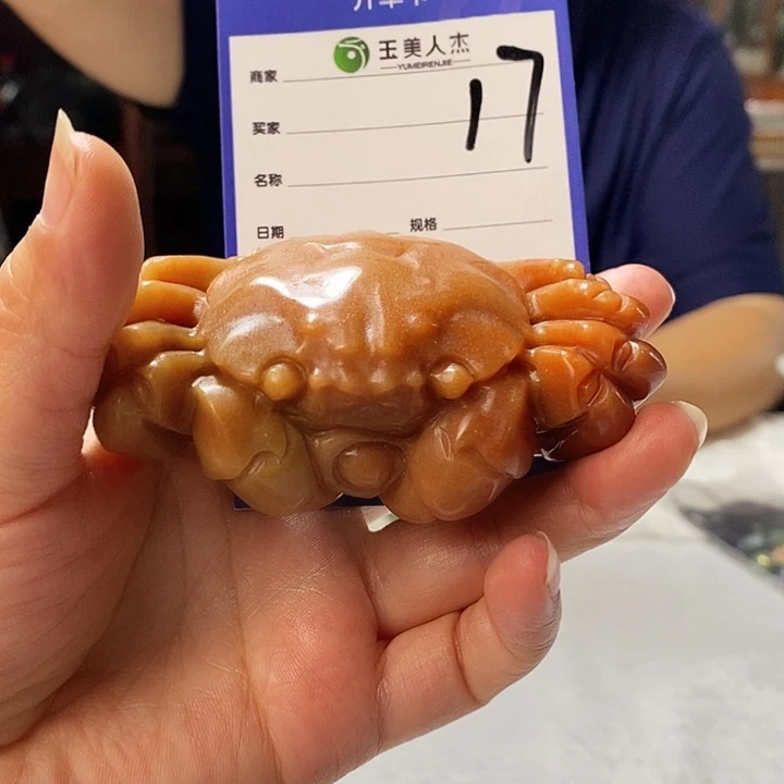 兜***宝密玉（石英质玉）挂坠未镶嵌