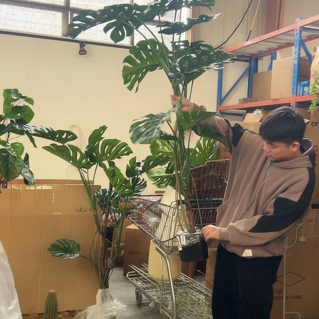 抖音直播瑕疵福利