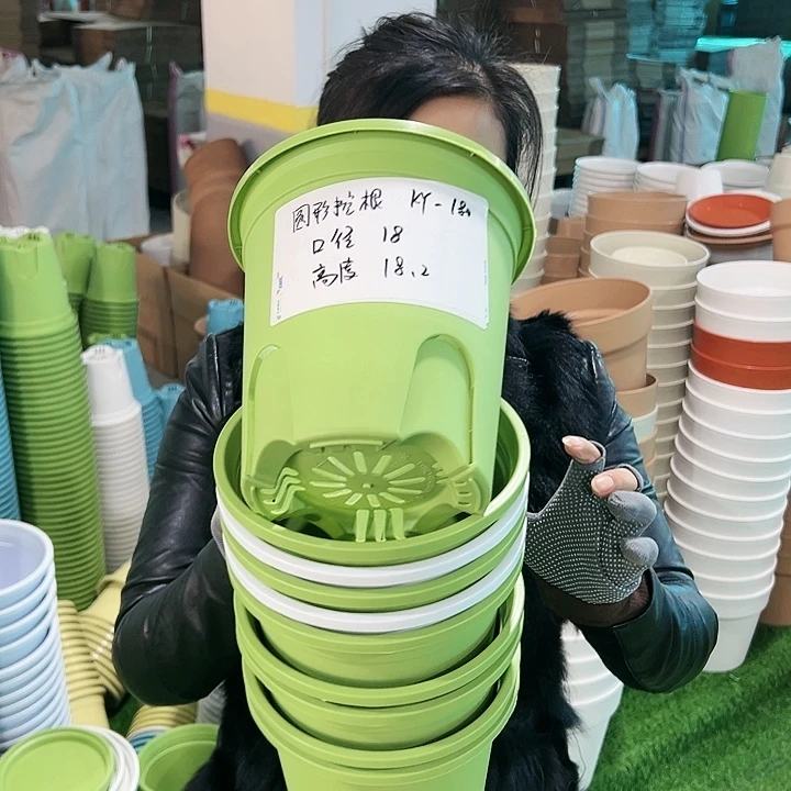 正品圆控口18高18果绿无托8只