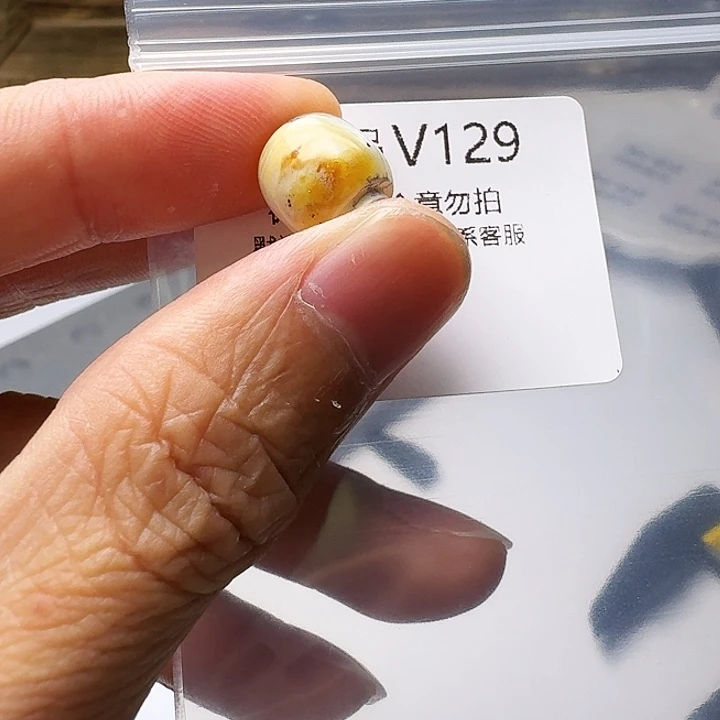 裸石琥珀未镶嵌琥珀