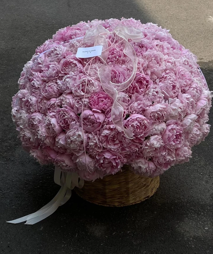 五月花神【芍药花 大花束 新西兰进口 基地采摘 新鲜出货】