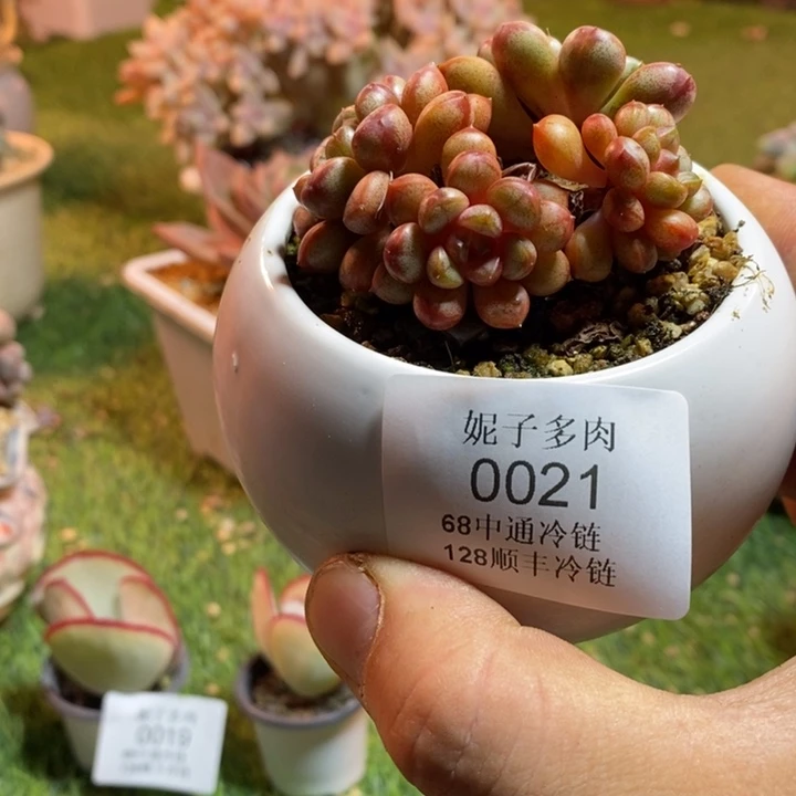 ***⌒0021啊啊啊啊啊啊啊啊啊啊