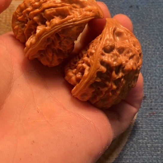 吊坠桃核全品蛇头50