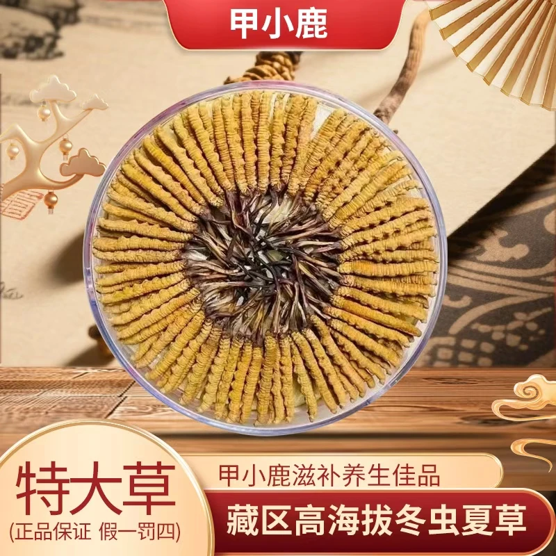 【特大草】青海玉树高海拔正宗冬虫夏草整根滋补泡水煲汤4根一克