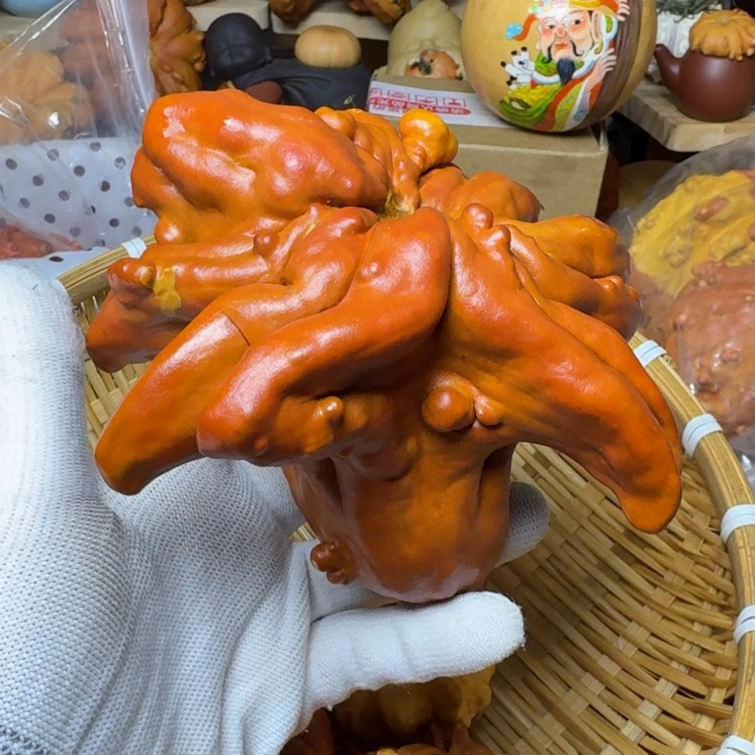 詹*贝特价葫芦不退不换