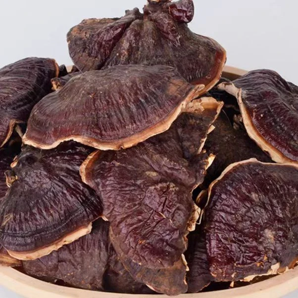 【滋补精品】精选金边灵芝250g(百合干）