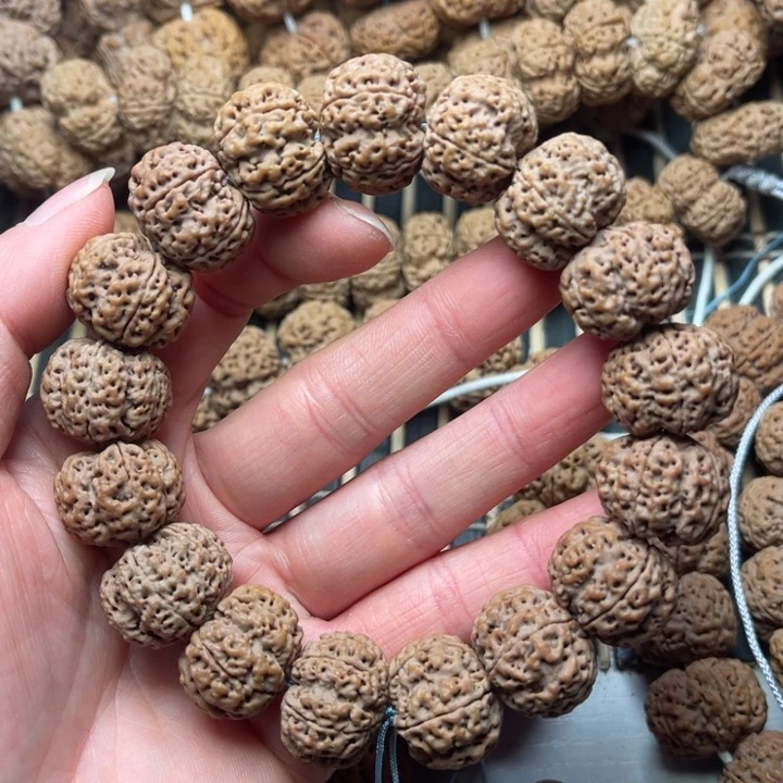 菩提尼泊尔大金刚爆肉梁龙牙梅花20