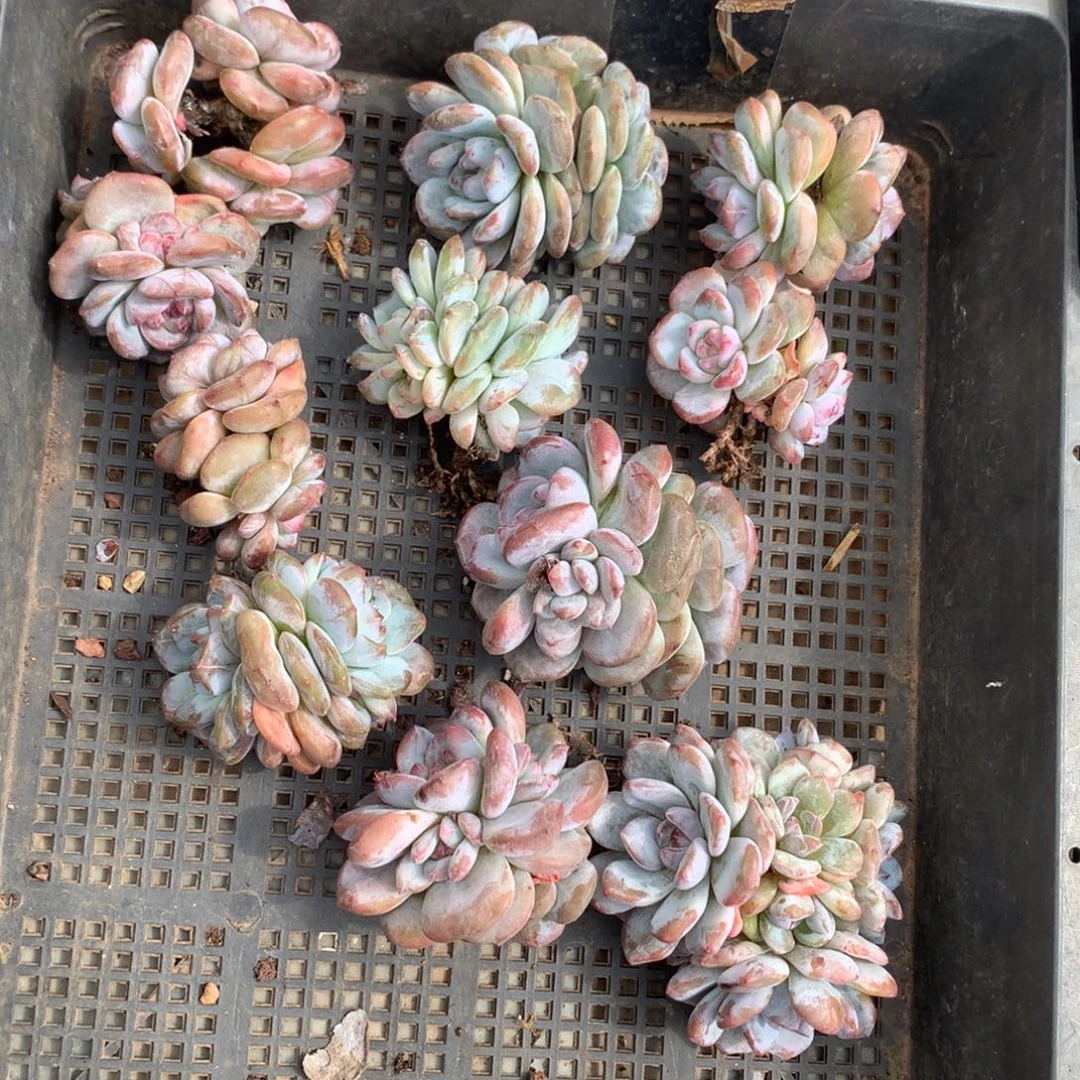 哈哈哈哈哈哈哈哈哈哈哈