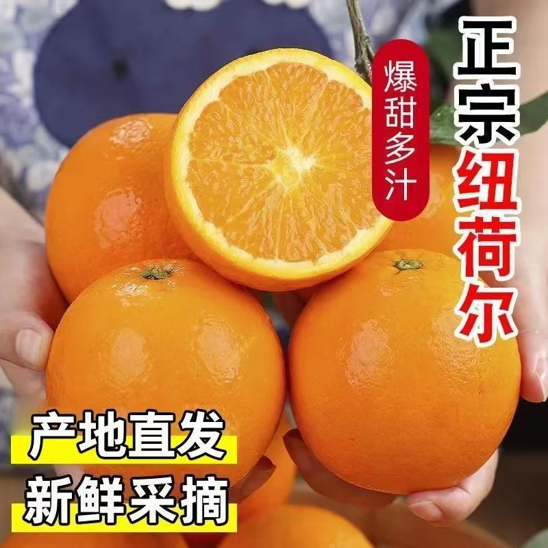 四川纽荷尔脐橙高山清甜多汁脐橙甜橙榨汁AR