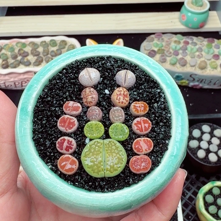 602零下地区记得拍保温箱