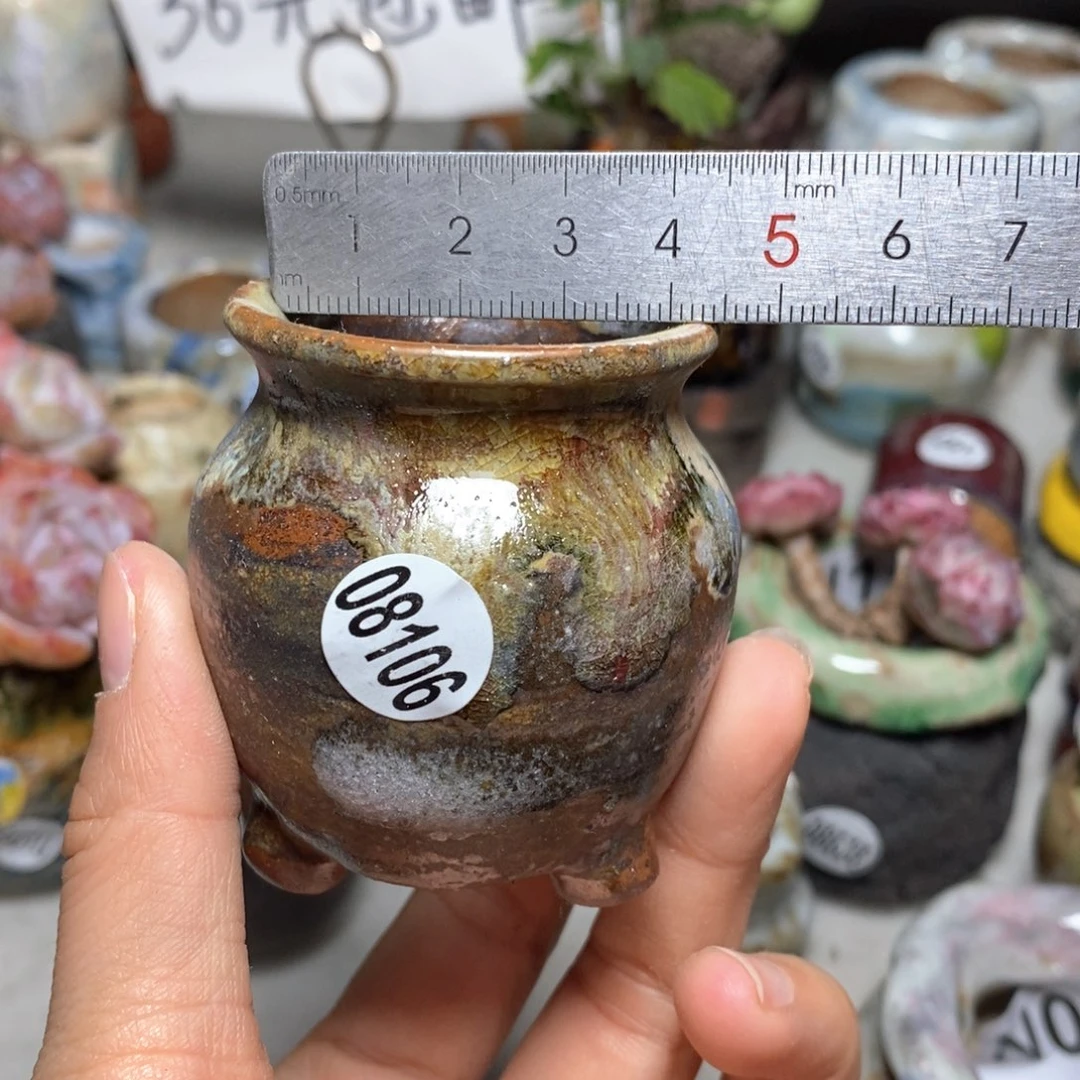 花盆拍5送一个小礼物