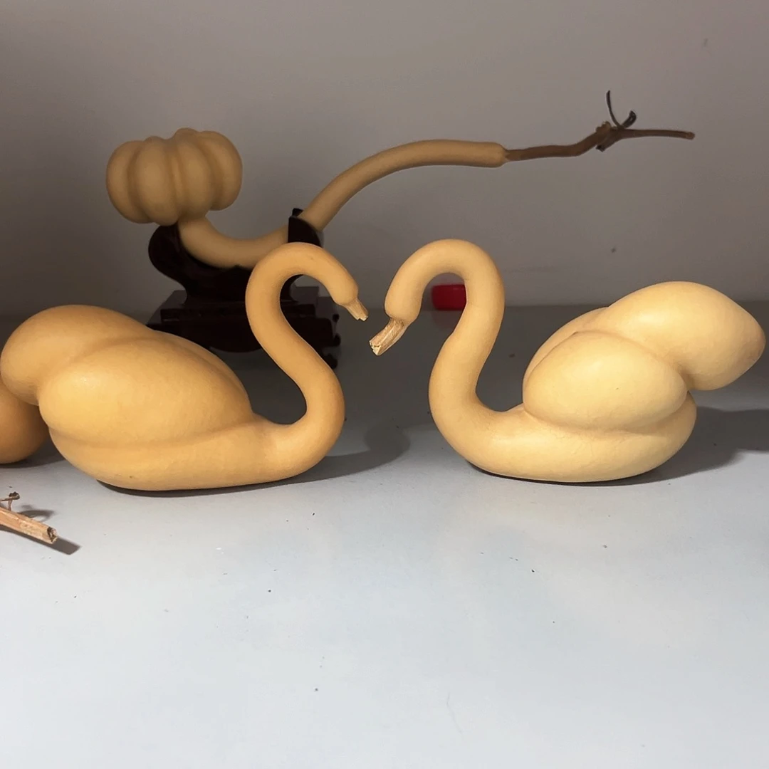 猴**儿猴老丝的箱子400的 付款开始