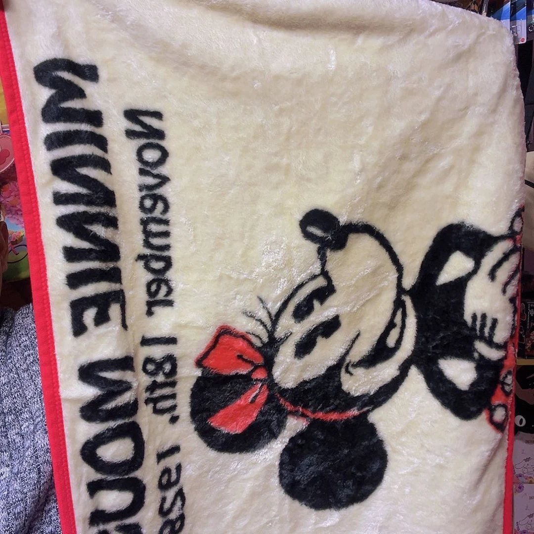 织物米妮拉舍尔毯子