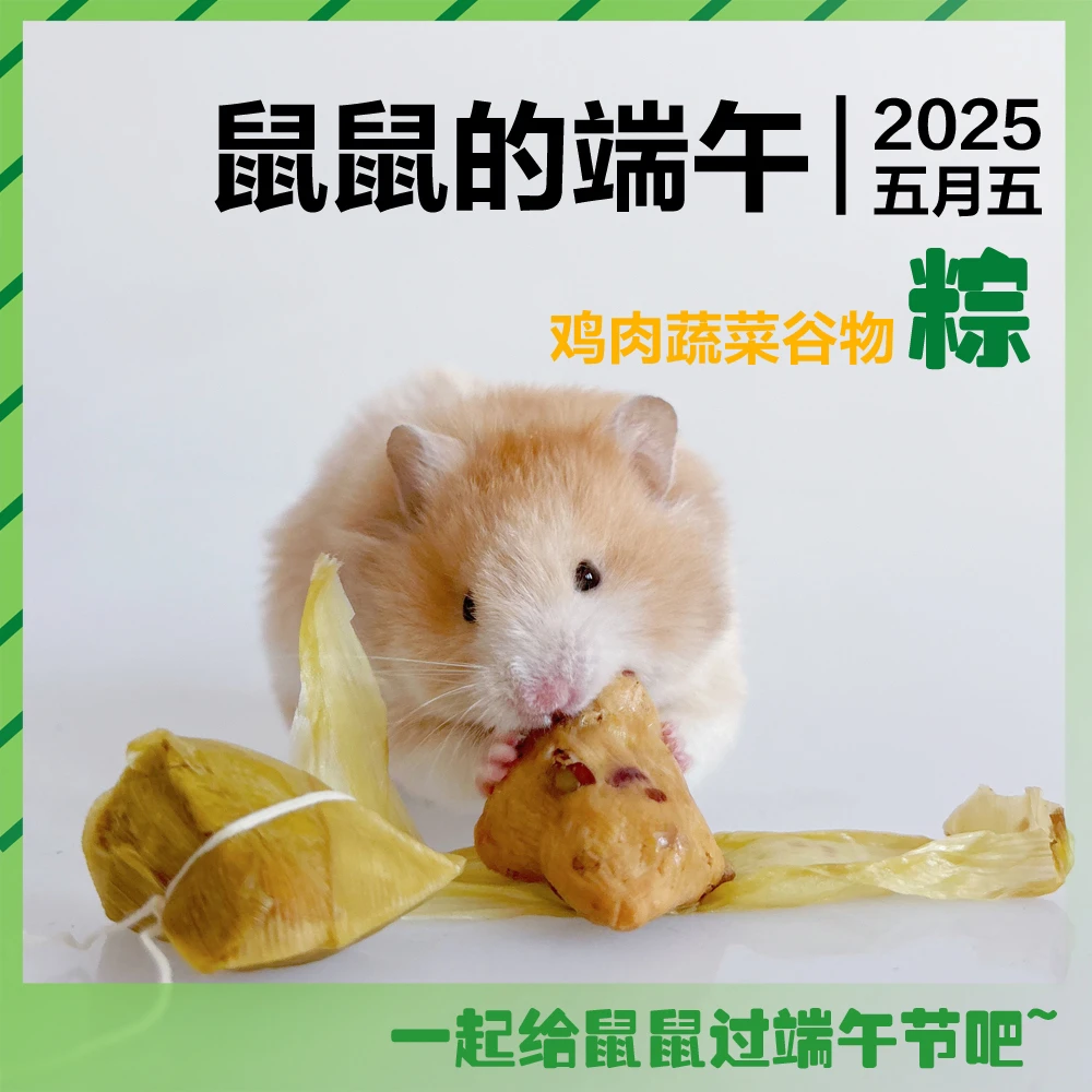 仓鼠端午粽子肉粽金丝熊粽子谷物蔬菜真空独立包装开袋即食宠物