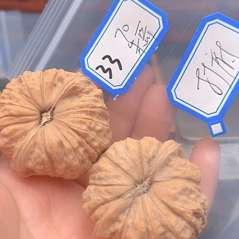 文玩核桃吊坠朱***7南瓜