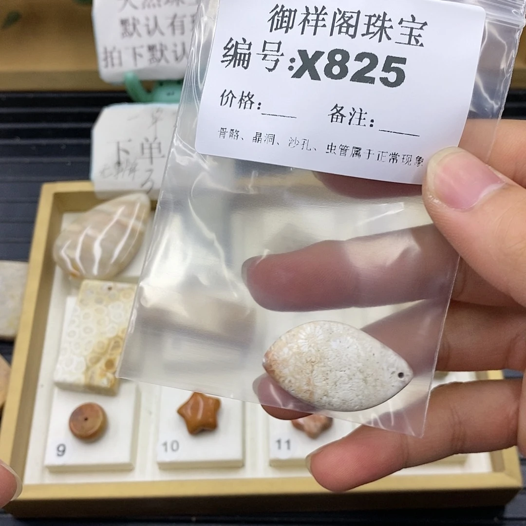 硅化珊瑚（珊瑚玉）未镶嵌颈饰茉*可