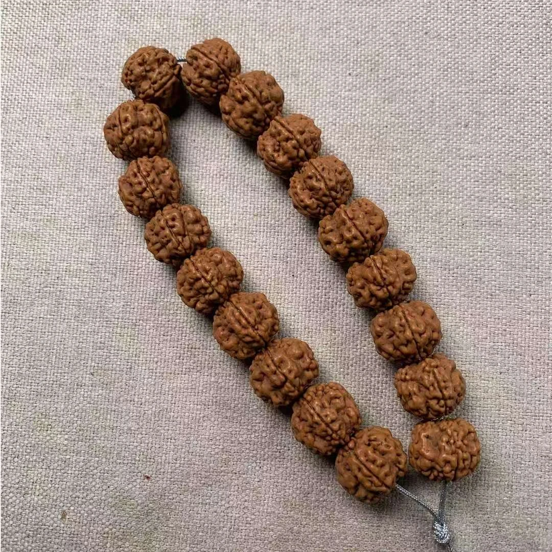 帝王花小金刚手持