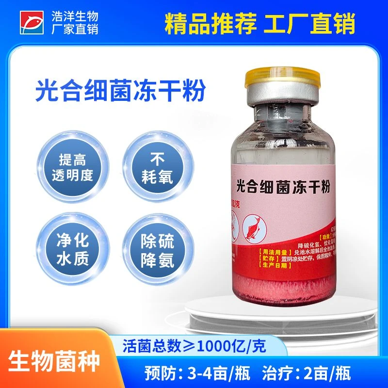 浩洋生物水产养殖光合细菌冻干粉厂家直销净化水质降氨氮脱硫