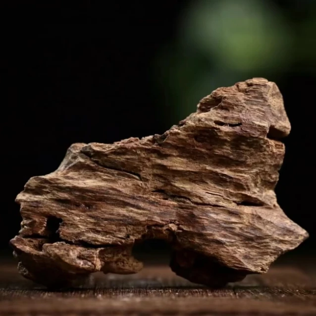 滋补沉香粉