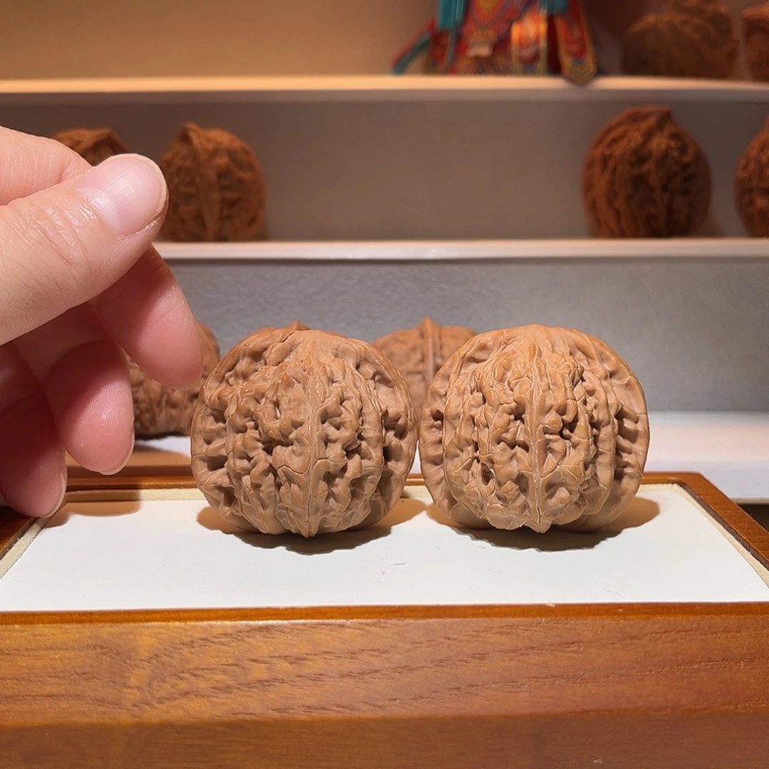 42全品望月…… 小众品种……