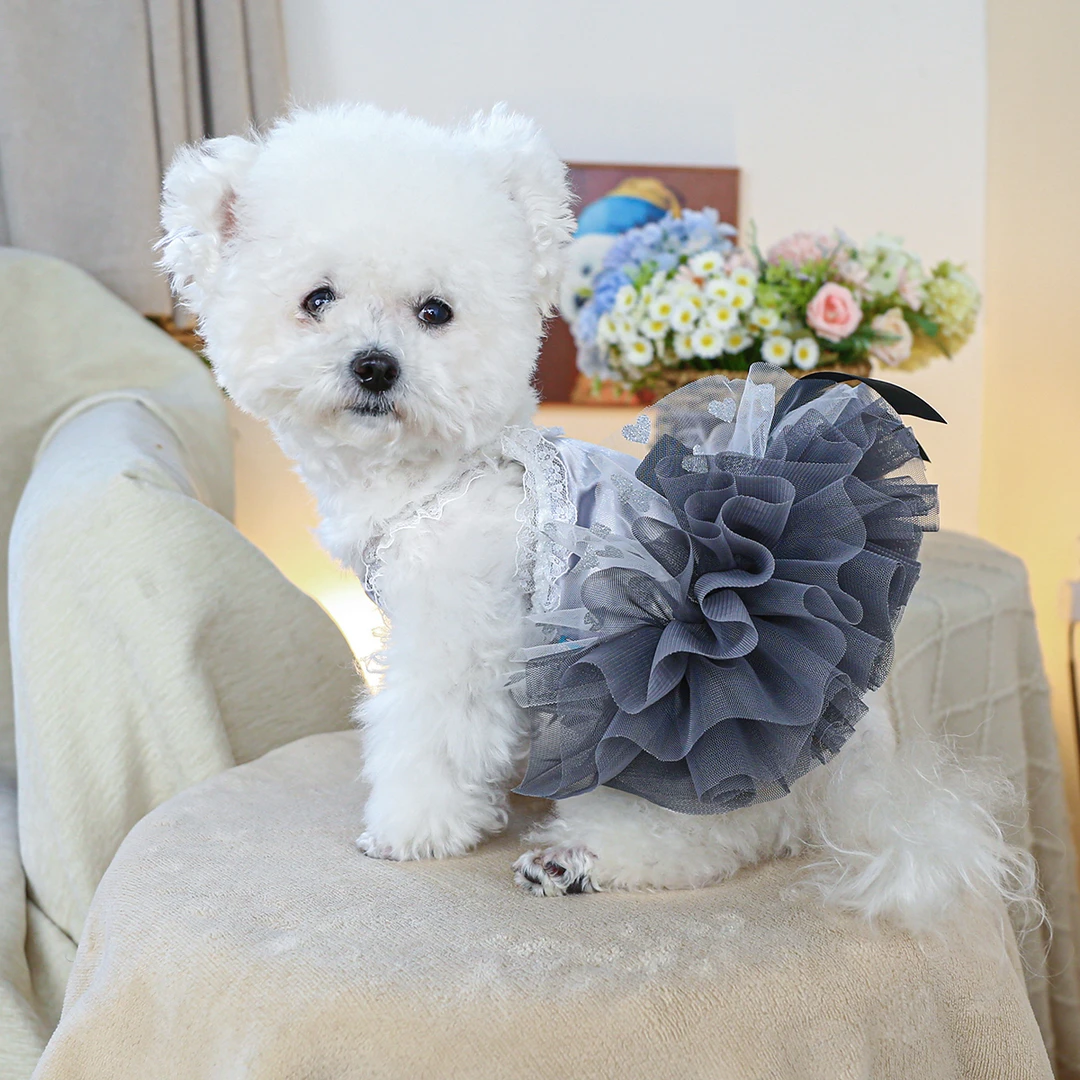 宠物狗狗衣服比熊博美泰迪春夏薄款旋转芭蕾裙