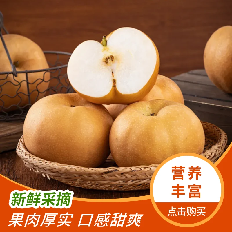 正宗秋月梨脆甜细腻无渣新鲜冰糖莱阳梨当季水果梨子4.5斤包邮