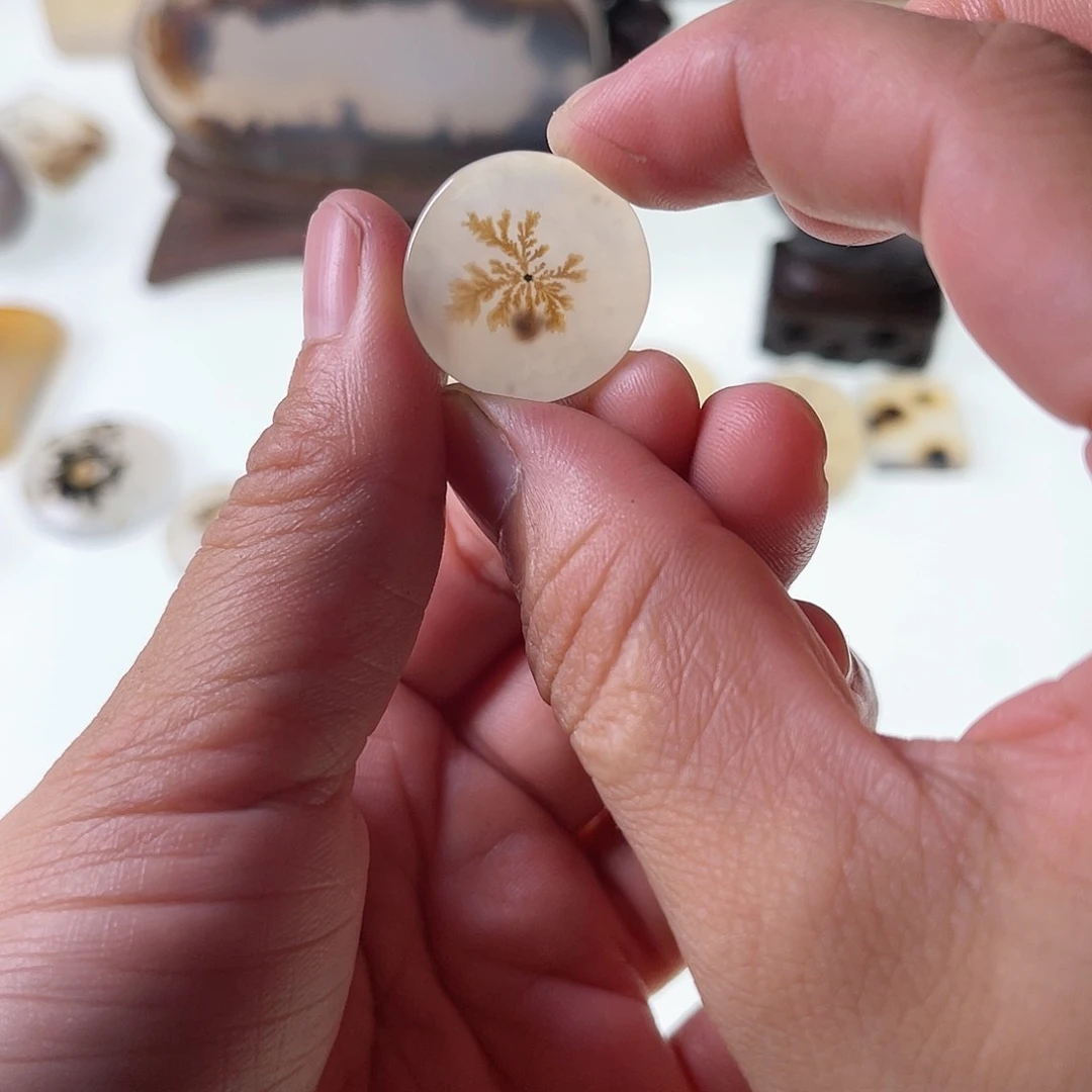 【闪购商品】玛瑙/玉髓未镶嵌珠宝半成品