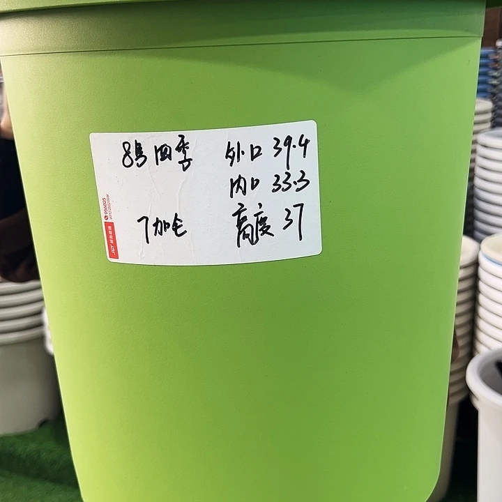 特价8号口39.4高37绿色无托5只