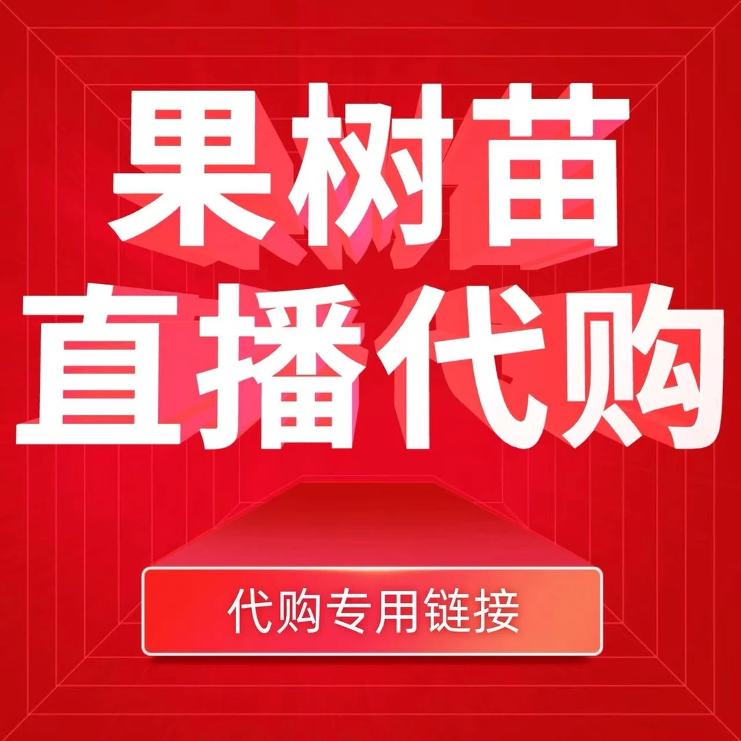 果树苗品种大全，西梅，李子，樱桃李