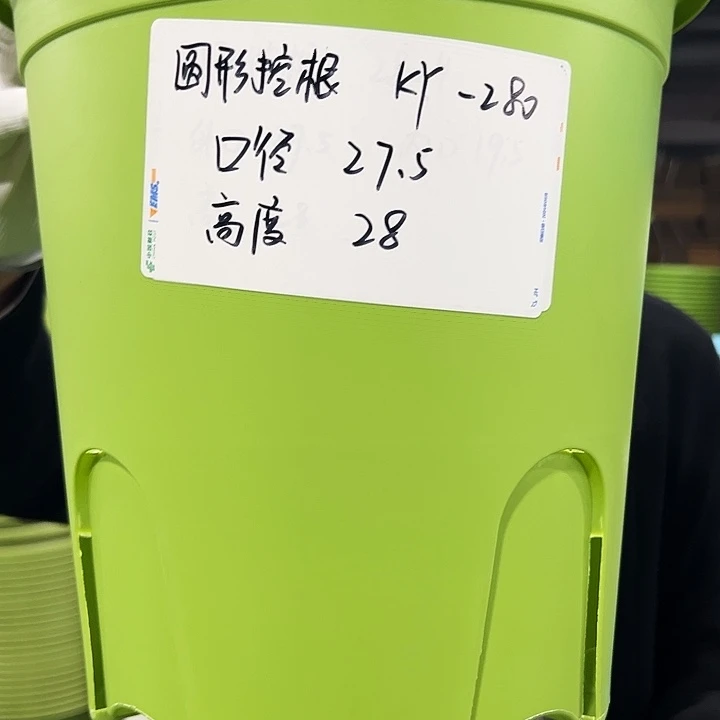 正品圆控口27高28果绿5只带托