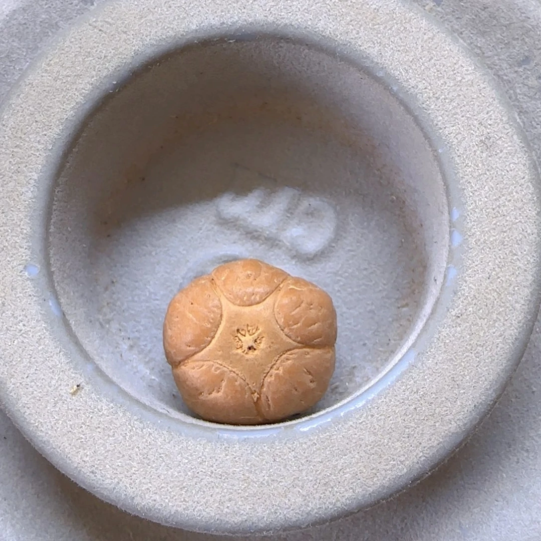 手串凤眼菩提19mm五星单颗0@5188