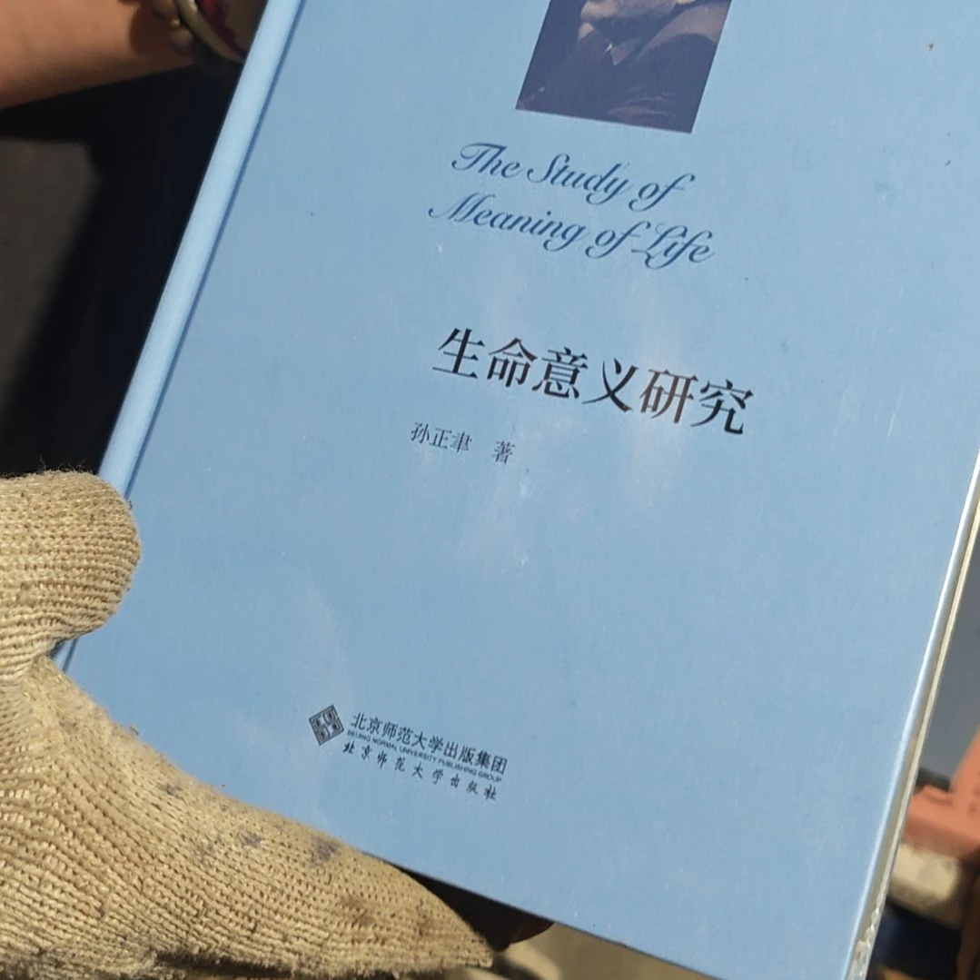 生命意义的研究精装塑封库存书