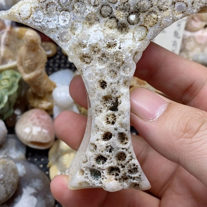 硅化珊瑚（珊瑚玉）未镶嵌颈饰