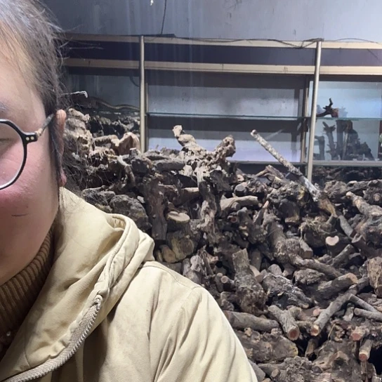 香榧木决**李火琉璃的毛料摆件