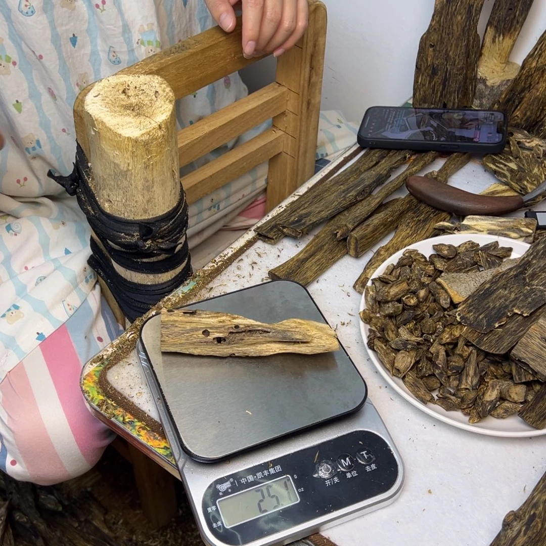 线香奇楠虫漏香25克