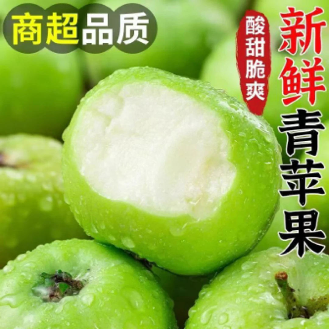 现摘山东青苹果应季水果孕妈妈推荐水果酸甜脆爽