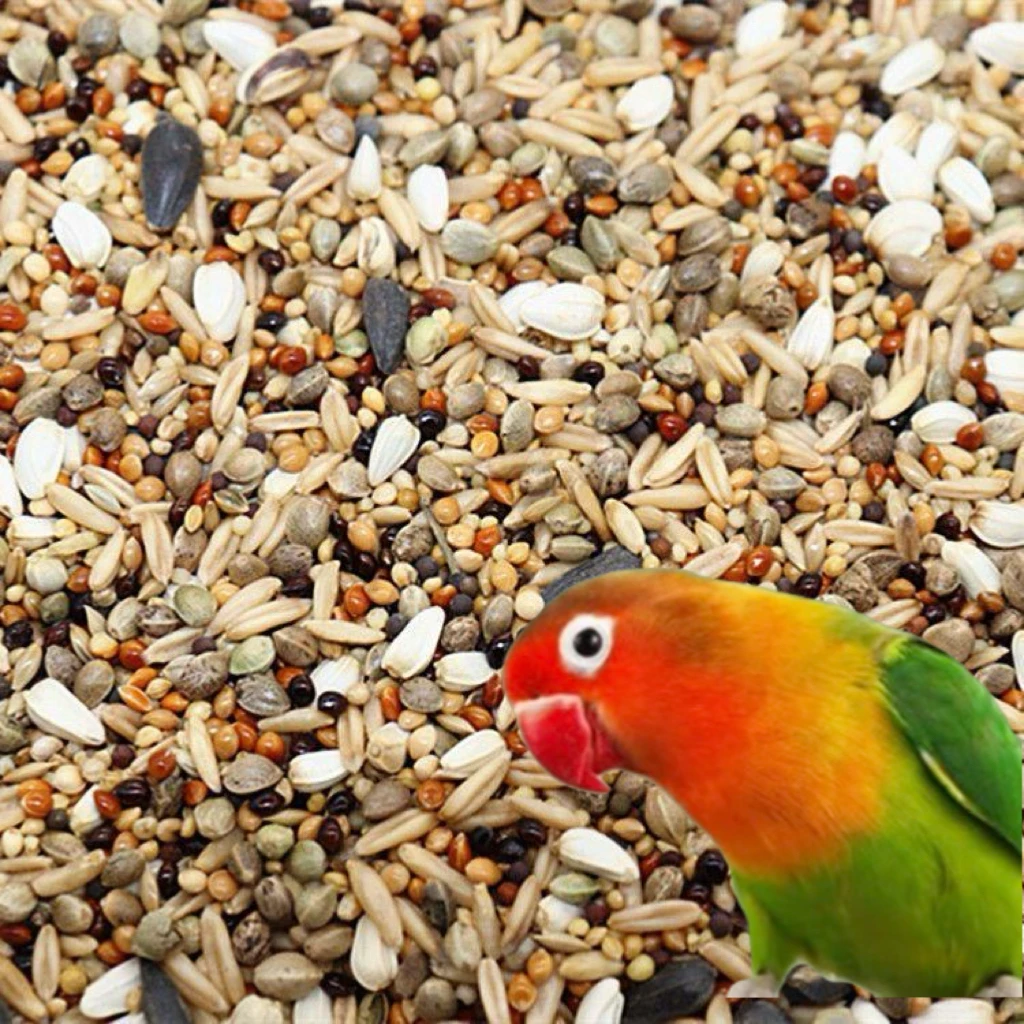 玄凤玄凤鹦鹉谷物鸟粮混合鸟粮加纳利子麻子红花籽油葵燕麦谷粮