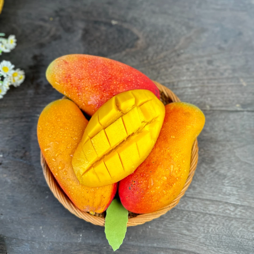 西施芒2斤（2-5枚，大小不一）