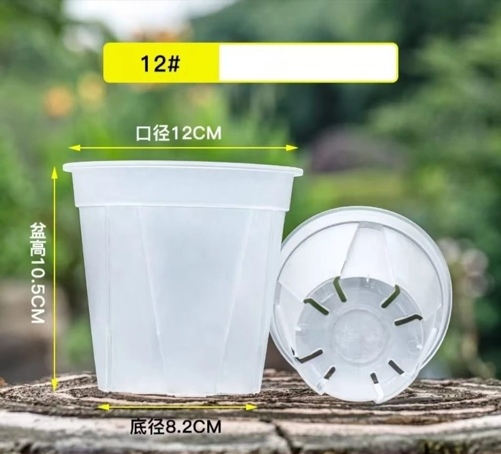 蝴蝶兰花盆升杯控根盆透气盆12/15/18口径