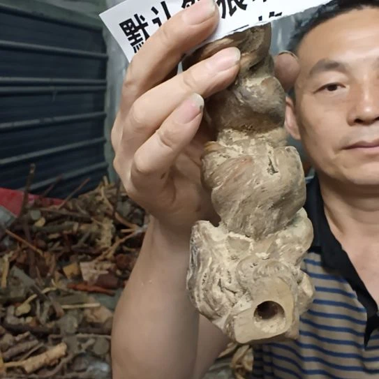 标***8稳定木高山 檬子木文玩料